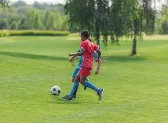 刘亚仁多起,指控被否认,下次开庭时,九游娱乐官网,九游娱乐品牌,九游娱乐精彩,九游娱乐