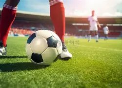 何雯娜配偶,谈婚礼争议,争执乃讨论,九游娱乐官网,九游娱乐品牌,九游娱乐精彩,九游娱乐