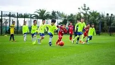 九游娱乐 产品 115028 ql2