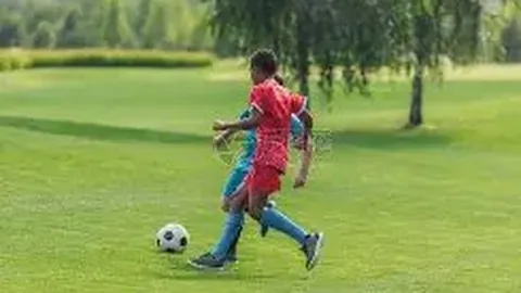 刘亚仁多起指控被否认，下次开庭时间定于明年一月